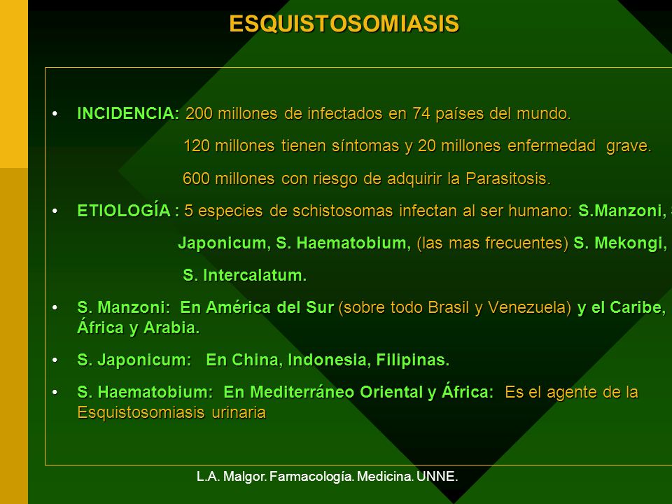 etiología esquistosomiasis